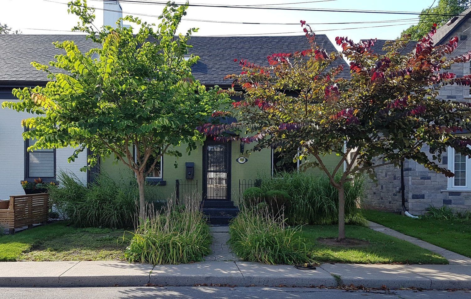 Front yard landscaping with mature trees, ornamental grasses and clean garden beds